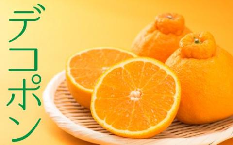 FF003.福岡柑橘王国！柑橘定期便Aセット