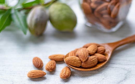 G020.【定期便】バラエティナッツ定期便×6ヶ月【エイジングケアに最適！】