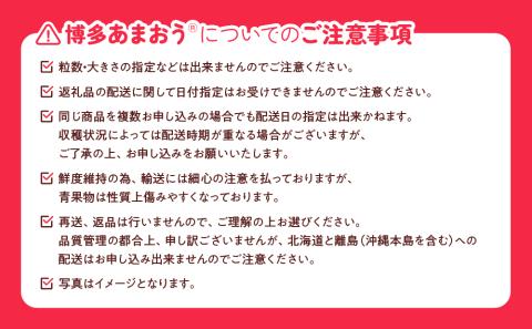 DH005.【あまおうが大好きなアナタへ】あまおう定期便（全4回）