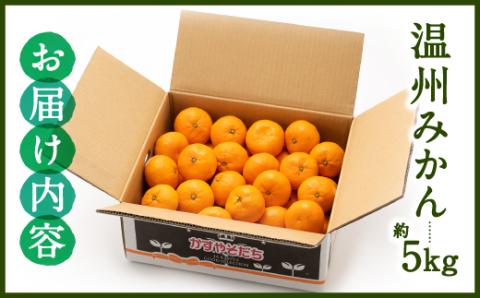 AA074.温州みかん（5kg程度）／2025年11月～2026年1月配送
