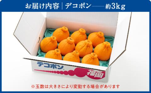 AA075.【昨年も大人気】デコポン（約３ｋｇ程度）☆２０２６年配送分予約受付中☆