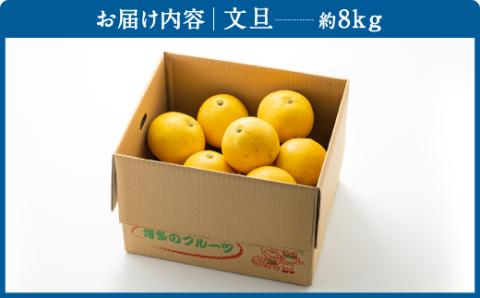 AA092.【予約受付・期間限定商品】　福岡柑橘王国・文旦（2026年2月～3月配送予定）
