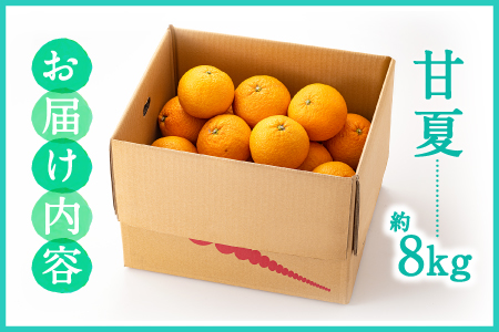 AA093.【予約受付・期間限定商品】福岡柑橘王国・樹成り完熟甘夏（2026年4月～5月配送予定）