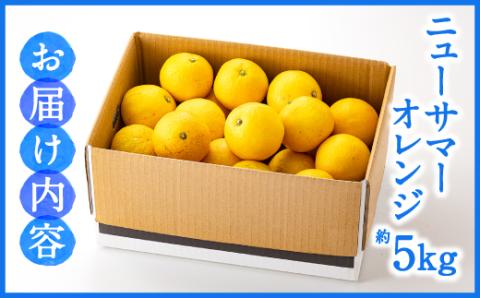 AA115.福岡柑橘王国．ニューサマーオレンジ約5kg／2026年4月配送