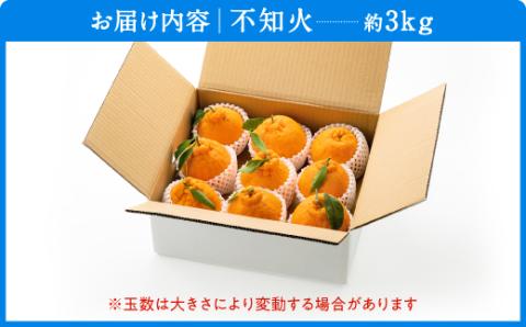 AA132.農家直送の不知火／約3kg（2026年2月発送予定)