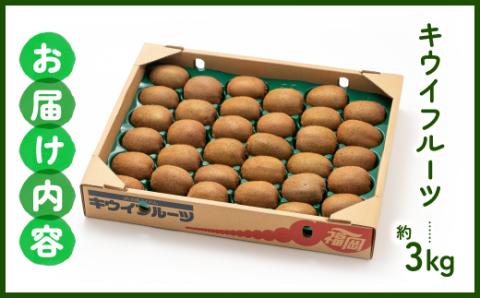 【予約受付】AB128.キウイフルーツ(グリーン)3kg程度／2026年1月～2月配送予定