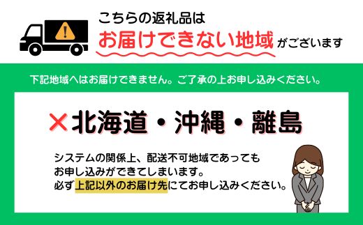 AB230.累計３００万個突破記念！どーんと３キロ！４種ハンバーグセット【150g×20個】