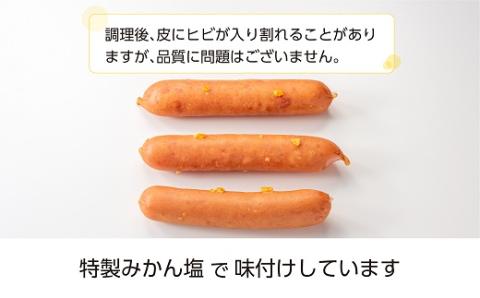 A1459.【レンチン便利品】国産パリッとジューシー高級ウインナー 約1.2キロ