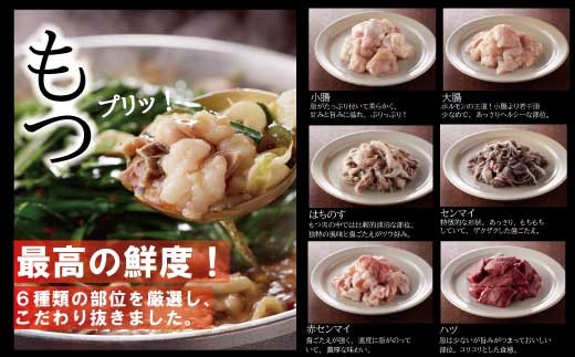 AB286.1,077万人が食べた！福岡店舗数No.1もつ鍋「楽天地」元祖もつ鍋2～3人用大容量国産牛モツ300g【もつ鍋・醤油味】