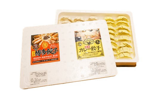 ZI244.博多カレー餃子ミックスセット（博多餃子24個＆カレー餃子16個）