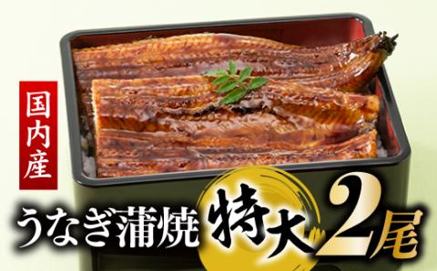 AG070.【国内産】【有頭】うなぎ蒲焼 (特大) 2尾 ＜計500g前後＞『１～２ヶ月前後でお届け！！』