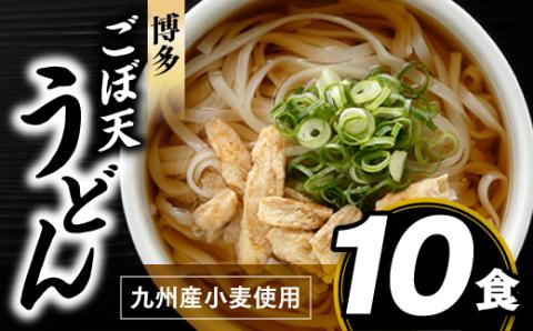 ZF079.博多ごぼ天うどん１０食