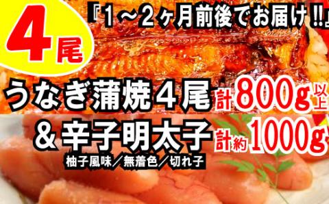 BD015.うなぎの蒲焼４尾＆無着色辛子明太子１キロ【ご飯のお供！最強セット】