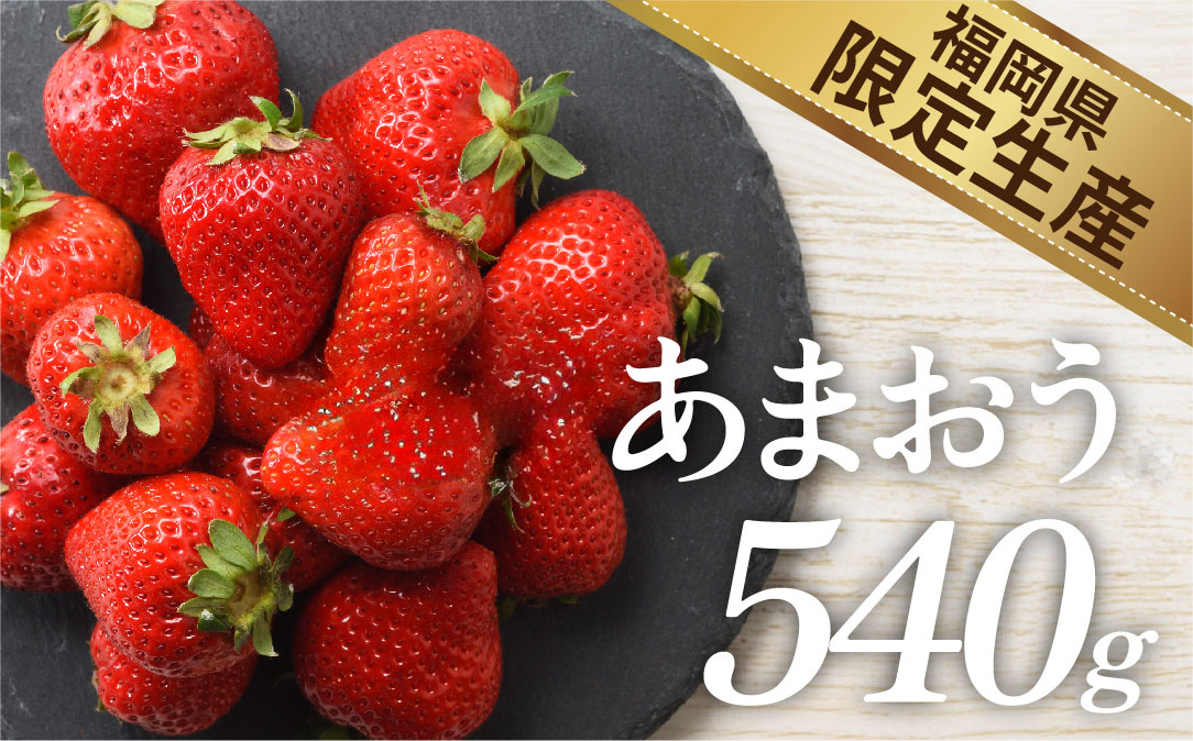 A1381.人気ナンバー1獲得★限定品★あまおう約540g（２０２６年１月以降発送）