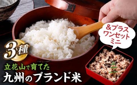 AE224.立花山で育てた九州のブランド米・味くらべ＆プラスワンセットミニ