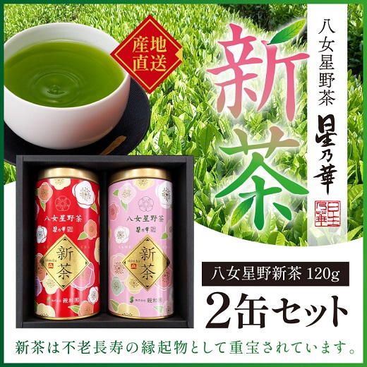 A1502.【新茶】八女星野茶（120g×2缶）／2026年5月～7月中旬頃発送【八女茶】