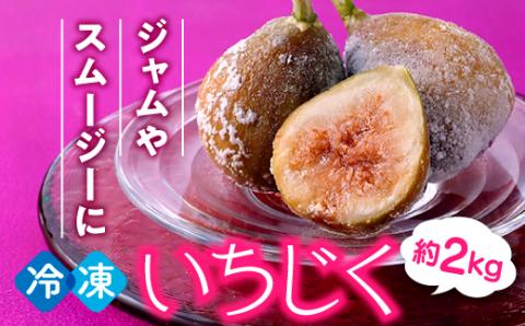 A1559.冷凍いちじく約2キロ【とよみつひめ】