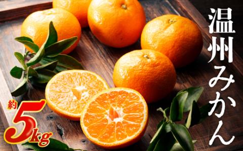 AA074.温州みかん（5kg程度）／2025年11月～2026年1月配送