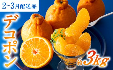 AA075.【昨年も大人気】デコポン（約３ｋｇ程度）☆２０２６年配送分予約受付中☆