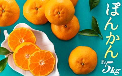 AA076.ぽんかん（5kg程度）／2025年12月～2026年1月配送予定