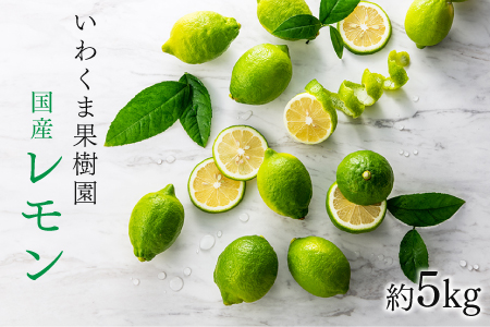 AA079.貴重な国産レモン.約5kg.新宮町産の逸品です／2025年9月～2026年2月発送予定