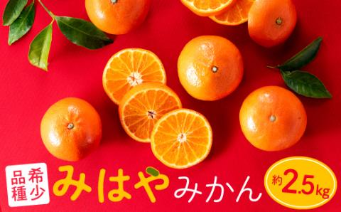 AA088.【希少品種】みはやみかん／約2.5キロ(2025年12月上旬～2026年1月末発送予定)