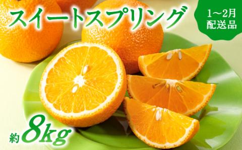AA091.【予約受付・期間限定商品】福岡柑橘王国・スイートスプリング／約8kg(2026年1月～2月配送予定）