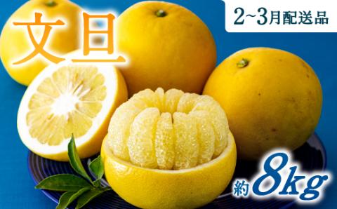AA092.【予約受付・期間限定商品】　福岡柑橘王国・文旦（2026年2月～3月配送予定）