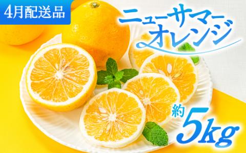 AA115.福岡柑橘王国．ニューサマーオレンジ約5kg／2026年4月配送