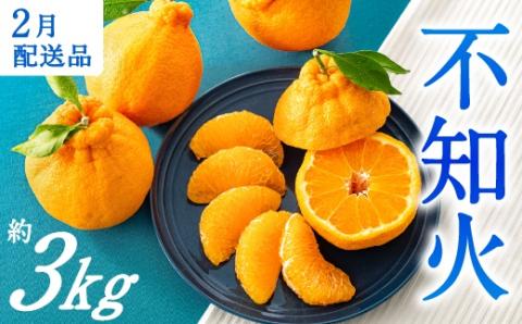 AA132.農家直送の不知火／約3kg（2026年2月発送予定)