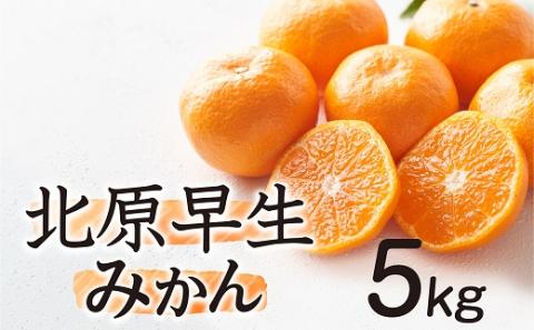 AA139.【予約受付・期間限定商品】北原早生みかん（5kg程度）.2026年10月～11月配送