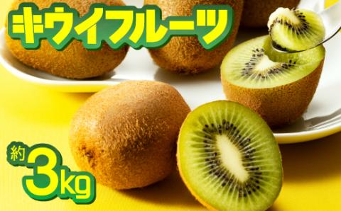 【予約受付】AB128.キウイフルーツ(グリーン)3kg程度／2026年1月～2月配送予定