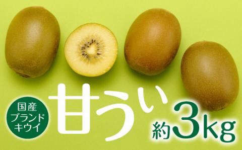 AC197.九州・福岡フルーツ王国より直送.人気の新ブランドキウイフルーツ（甘うぃ）約3kg／2026年11月配送【甘うぃ】