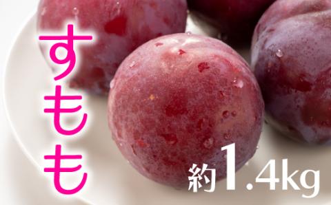 AB136.九州・福岡フルーツ王国より直送.すもも.約1.4kg／2026年6月配送