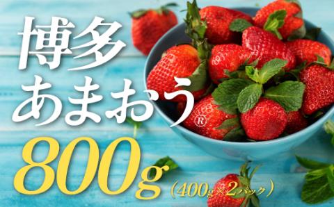 AB144.★限定品★あまおう（４００ｇ×２パック）／２０２６年１月下旬～４月発送【あまおう】