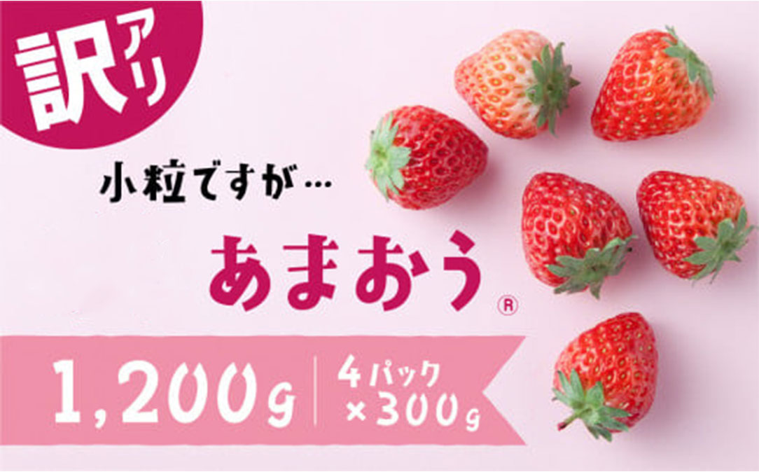 【訳あり.限定品】あまおう.小粒ですが約１２００g（先行受付．２０２６年１月以降発送）.AB380