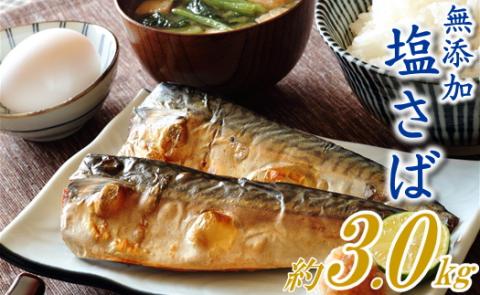 AB182.バラ凍結で便利！塩さば（約3kg）