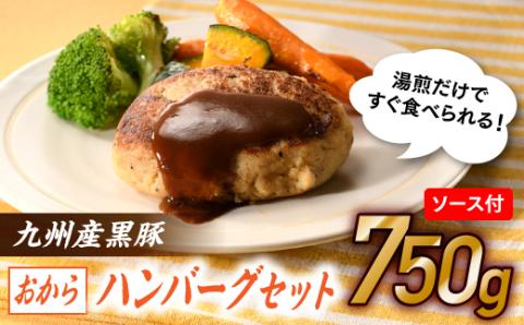 A1454.九州産黒豚おからハンバーグセット