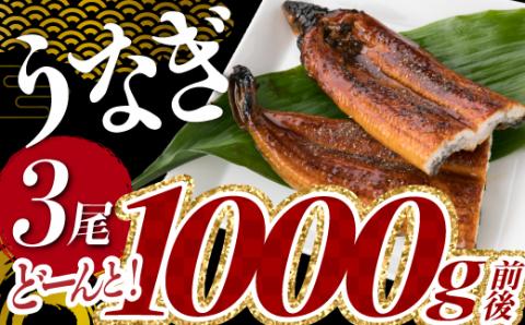 A1526.うなぎの蒲焼３尾（計１，０００ｇ前後）『１～２ヶ月前後でお届け！！』