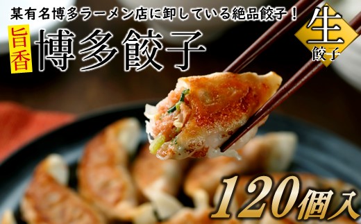 AB285.【創業40年の老舗が誇る味わい】博多餃子１２０個