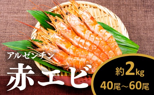 AB443.【お刺身用】有頭赤海老2kg（約40〜60尾入）