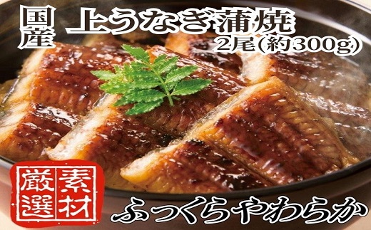 AC134.【国内産】上うなぎ蒲焼.2尾（約300g）『1~2ヶ月前後でお届け！！』