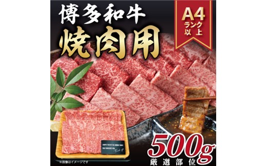 AC147.【A4～A5】博多和牛焼肉用約500g【博多和牛】