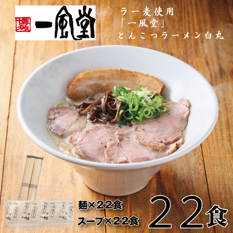AI042.一風堂白丸ラー麦麺セット・22食【豚骨ラーメン】