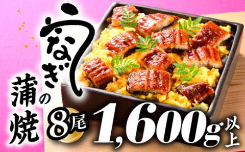 BE043.うなぎの蒲焼８尾（計１６００g以上）『１～２ヶ月前後でお届け！！』