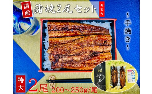 AH073.国産うなぎ蒲焼2尾（計400～500g）