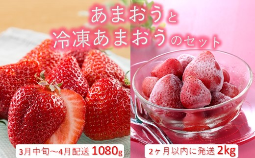 B384.あまおう約1,080gと冷凍あまおう約2kgのセット【北海道・沖縄・離島へ配送不可】【あまおう】