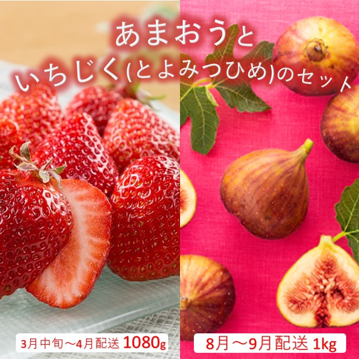 B385.あまおう約1,080gといちじく（とよみつひめ）約1kgのセット【あまおう】【とよみつひめ】