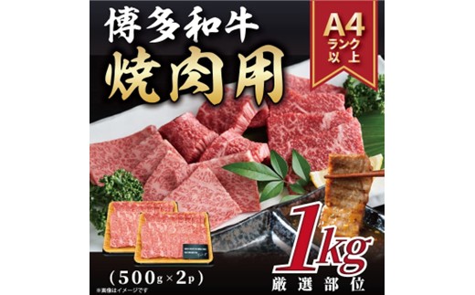 BB034.【A4～A5】博多和牛焼肉用約1kg（500g×2p）【博多和牛】