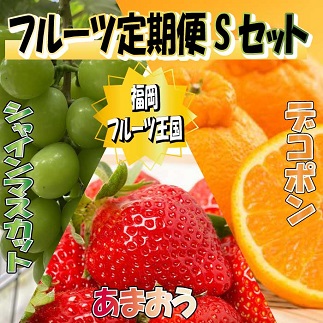 CF026.九州・福岡フルーツ王国.旬のフルーツ定期便Sセット【あまおう】
